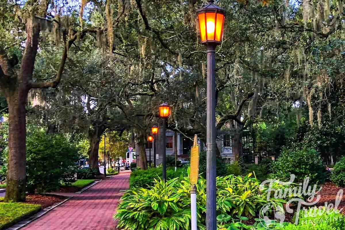 Brick sidewalk surrounded by trees and bushes