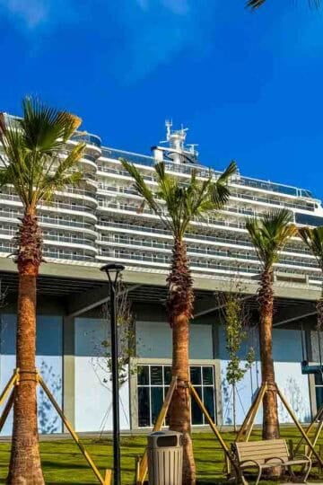 Large cruise ship docked behind palm trees and a modern terminal building.