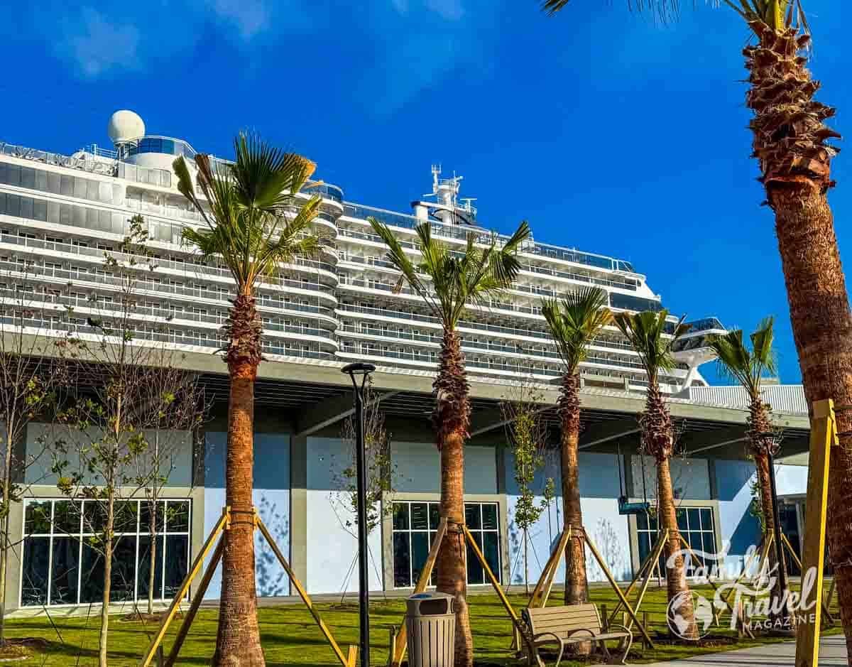 Large cruise ship docked behind palm trees and a modern terminal building.