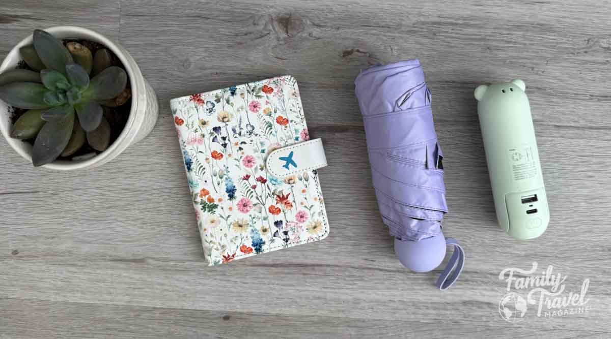 a succulent, floral passport holder, purple umbrella, and a light green portable fan.