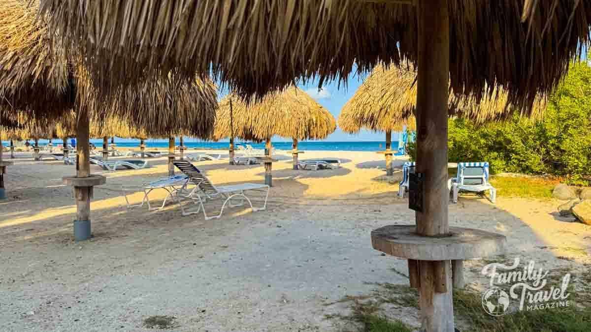 A sunny beach in Aruba with many thatched palapas and lounge chairs by the blue ocean.