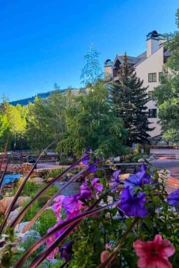 Colorful flowers overlook Beaver Creek Village, Colorado, featuring alpine buildings, a stream, and a stone bridge.