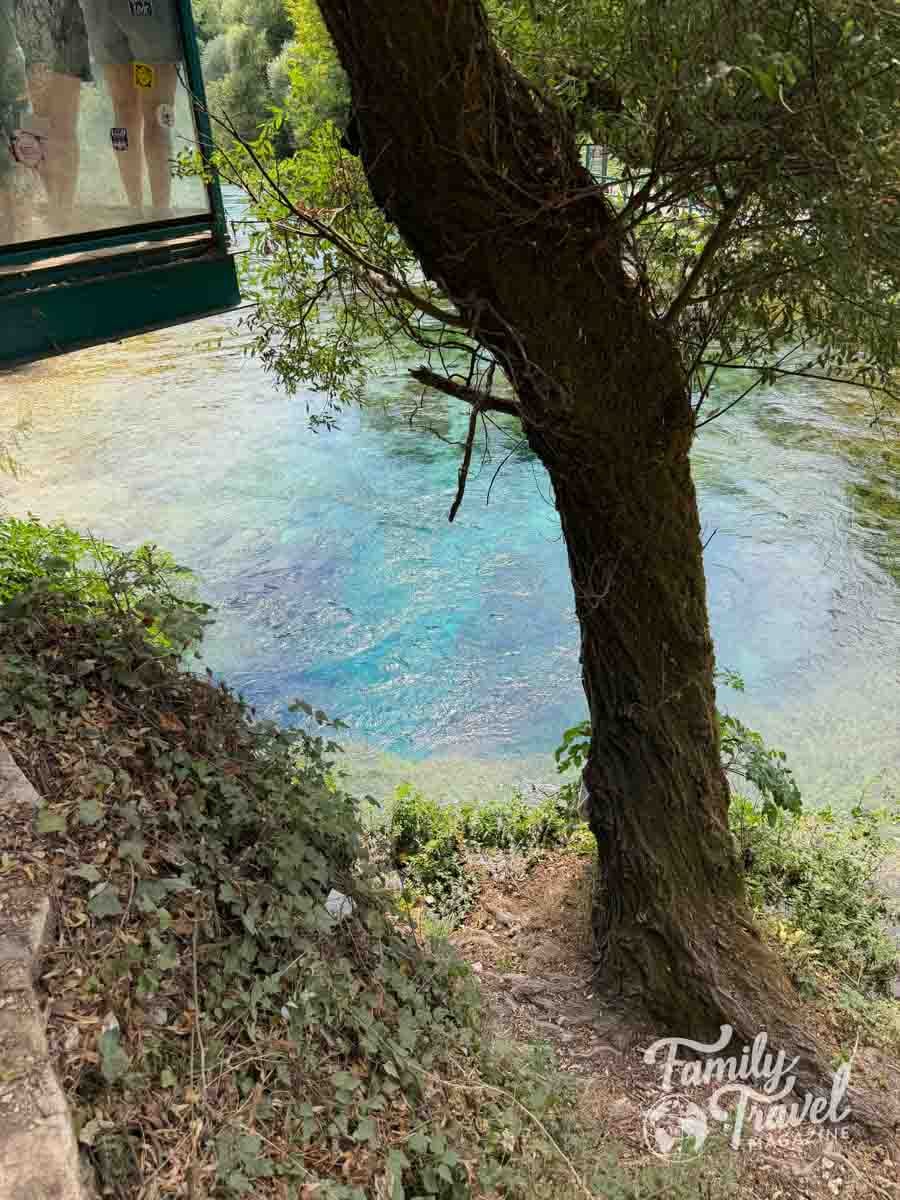A tree stands on a bank overlooking a clear, blue-green body of water at Blue Eye in Albania. 